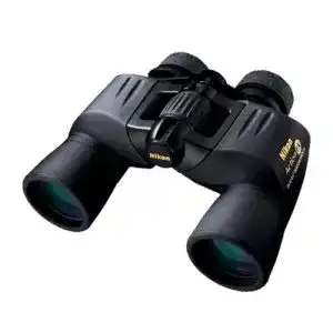 31VQdGSNXL. SL500 