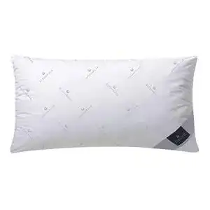 31VWxLlA5xL. SL500 