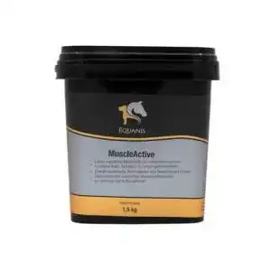Muskelaufbau Pferdefutter Equanis MuscleActive zur Unterstützung