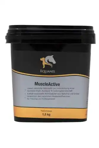 Muskelaufbau Pferdefutter Equanis MuscleActive zur Unterstützung
