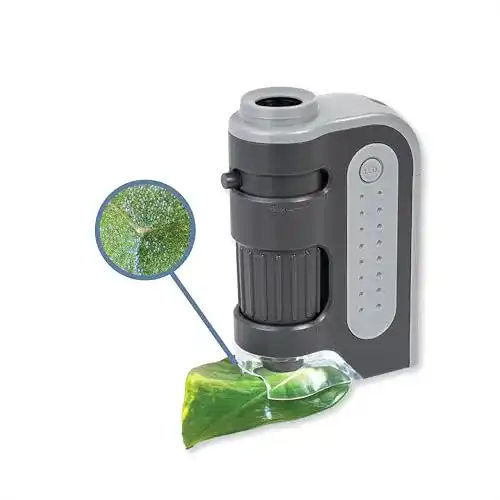 USB-Mikroskop Carson MicroBrite Plus 60x-120x mit LED-Beleuchtung