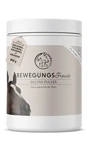 MSM Pferd Annimally Gelenk Pulver für Pferde 850g mit Teufelskralle