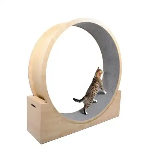 Katzenlaufrad Elmato Simba in L & XXL, 120 cm / 140 cm, weiß/beige
