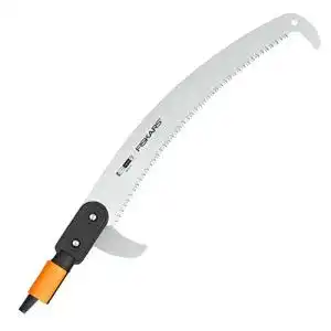 31cP6UxJhfL. SL500 