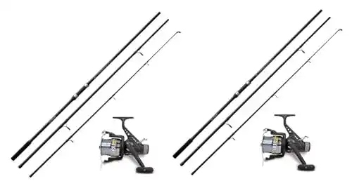Karpfenruten Lineaeffe 2X Karpfenset mit 3,60m Ruten und Schnur
