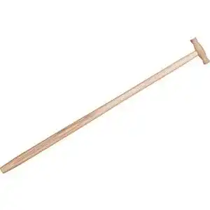 31fhinPjzoL. SL500 