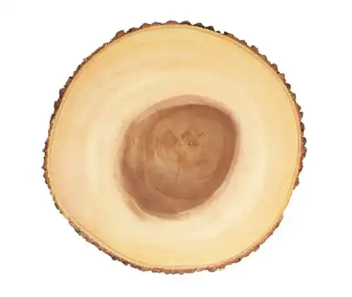 Servierplatte Artesà Käsebrett aus Holz für Kuchen und Snacks