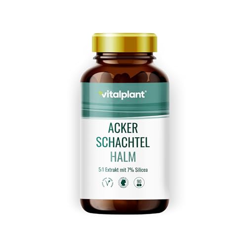 Zinnkraut Kapseln Vitalplant Ackerschachtelhalm Extrakt 500mg