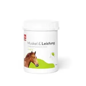 Muskelaufbau Zusatzfutter für Pferde – PHA Muskel & Leistung