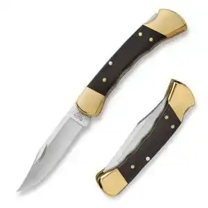 31nK31qQwmL. SL500 