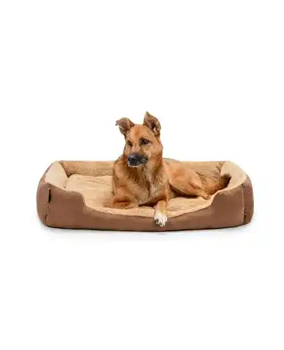 Hundebett für große Hunde von Lionto Hundekissen und Hundekörbchen