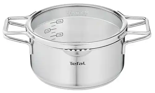 Tefal Nordica Kochtopf 20 cm mit Glasdeckel und Doppelgriffen