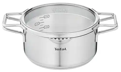 Tefal Nordica Kochtopf 20 cm mit Glasdeckel und Doppelgriffen