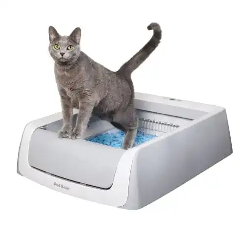 Selbstreinigendes Katzenklo PetSafe ScoopFree im Vergleich