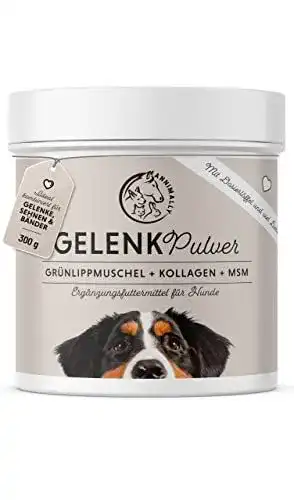 Grünlippmuschel Gelenkpulver für Hunde 300g mit MSM und Kollagen