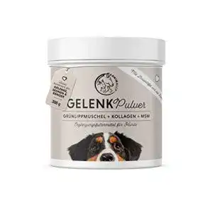 Grünlippmuschel Gelenkpulver für Hunde 300g mit MSM und Kollagen