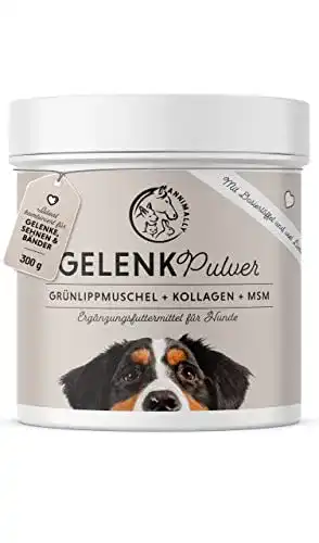 Grünlippmuschel Gelenkpulver für Hunde 300g mit MSM und Kollagen