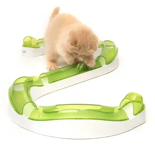 Katzenspielzeug Catit Spielschiene Wave Circuit interaktiv