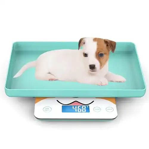 Digitale Tierwaage MINDPET-MED für Neugeborene und Kleintiere