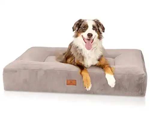 Orthopädisches Hundebett Knuffelwuff mit abnehmbarem Bezug und Kaninchenfellimitat
