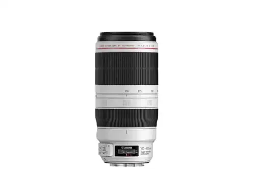 Canon EF 100-400mm F4.5-5.6L II USM Telezoom-Objektiv