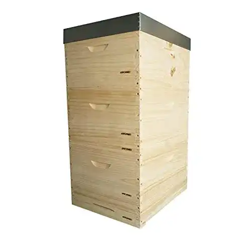 Bienenstock Apiformes Lorenzo Langstroth Beute mit 10 Waben