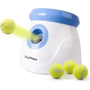 Tennisbälle günstig