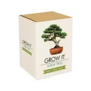 Bonsai-Starter-Kit