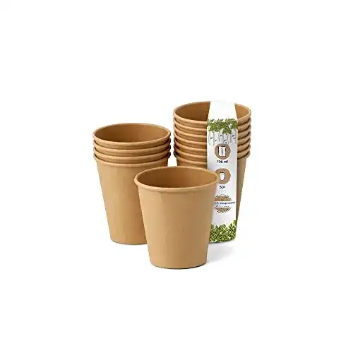Coffee-To-Go Becher aus Pappe von Greenbox Umweltfreundliche Einwegbecher
