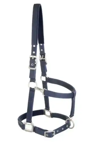 Halfter Schockemöhle Sports Memphis in Navy für Ponys