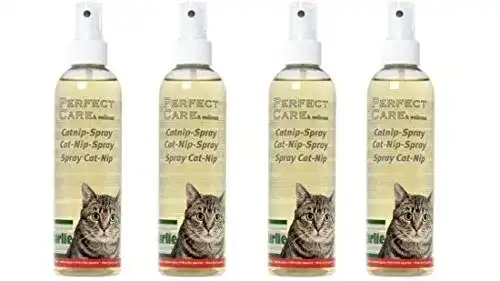 Katzenminze-Spray Cajou 1 Liter (4 Flaschen) für Katzen