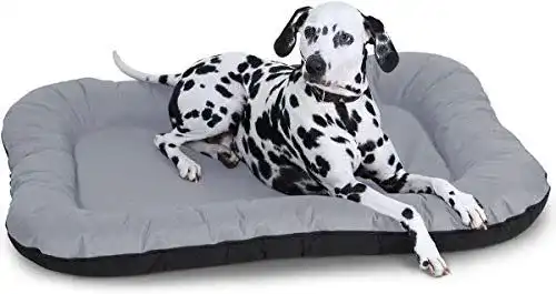 Hundebett für Innen und Außen, wasserfestes Modell aus Nylon