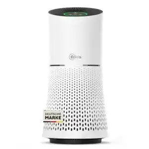 Ionisator