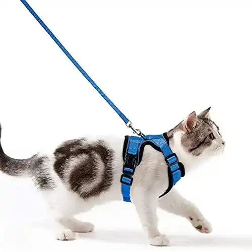 Katzengeschirr mit Leine für Kätzchen – Verstellbar und Ausbruchsicher