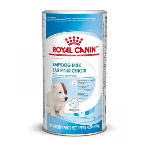 Welpenmilch Royal Canin Babydog Milk 4 x 100 g für Welpen