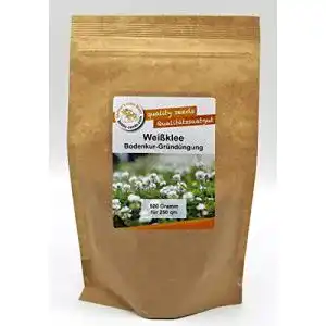 Kleesamen für Gründüngung und Bienenweide – 500g