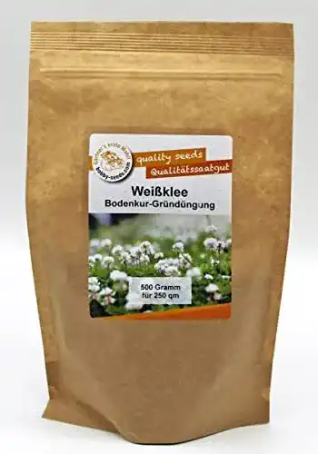 Kleesamen für Gründüngung und Bienenweide – 500g
