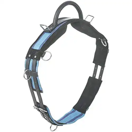 Longiergurt von Busse mit Handgriff für Shettys in Navy/Sky Blue