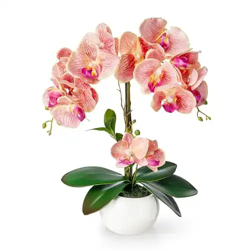 Künstliche Orchidee Pasch in Hochglanz-Keramiktopf (40 cm)