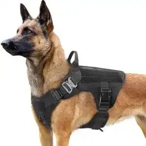 Taktisches Hundegeschirr Rabbitgoo für große Hunde mit MOLLE-System