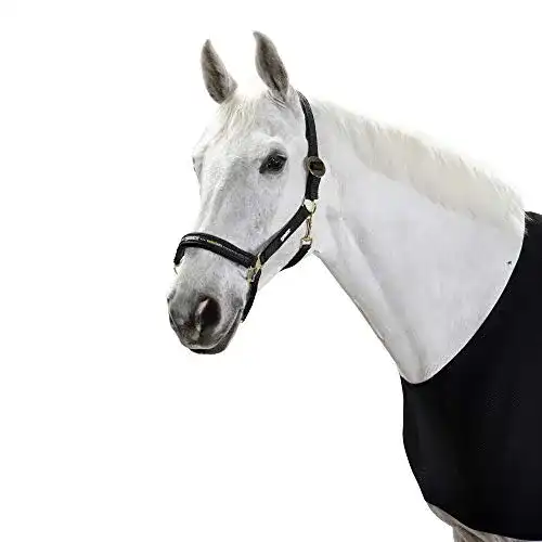 Halfter Eskadron Standard mit Sliding Buckle für Pferde