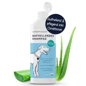 Hundeshampoo für weißes Fell – Pflege und Aufhellung