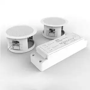 Bluetooth Deckenlautsprecher Istar Einbaulautsprecher mit Bluetooth-Modul