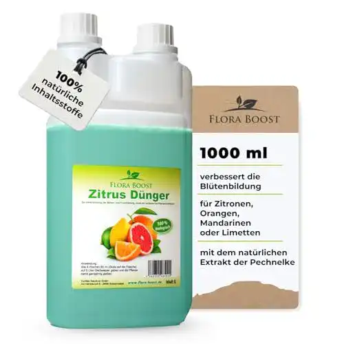 Zitrusdünger Flora Boost Konfitee 1000ml für Zitruspflanzen