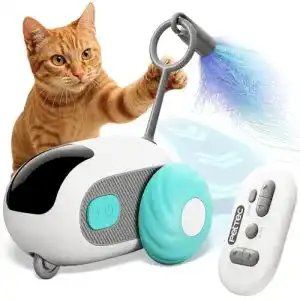 Elektrisches Katzenspielzeug Pettec RC Car interaktiv für Katzen