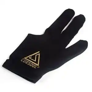 413aTT1gmLL. SL500 