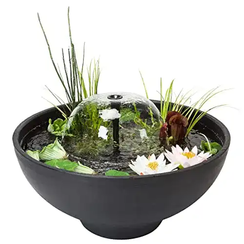 Mini-Teich Velda mit Brunnen und Pumpe, 75 x 35 cm