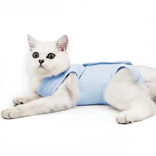Katzenbody Dotoner nach Operation – Anti-Leckschutz für Katzen