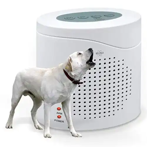 Elektronischer Wachhund Elro ARD51 mit 3D-Hundesound und Sensor