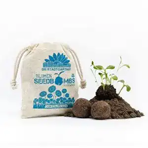 Gänseblümchen-Samen von Die Stadtgärtner Handgemachte Seedbombs
